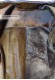 Foto dell'interno del giubbotto in pelle di ovino shearling Moscow Doper'S