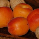 Insalata di farro con albicocche fresche, ingredienti colorati su un piatto bianco.